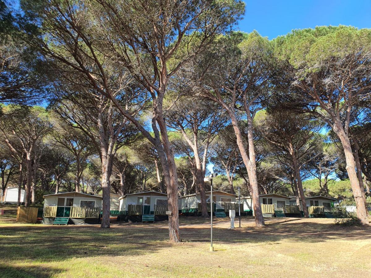 Village S'ena Arrubia Campsite Arborea