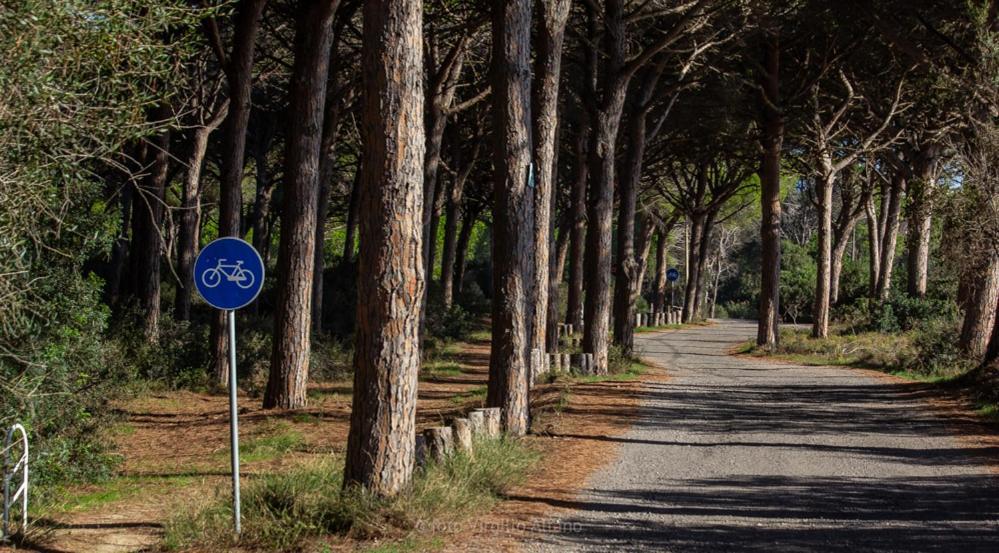 Village S'ena Arrubia Arborea