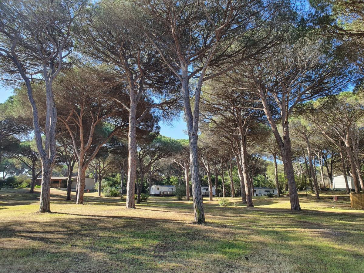 Village S'ena Arrubia Arborea