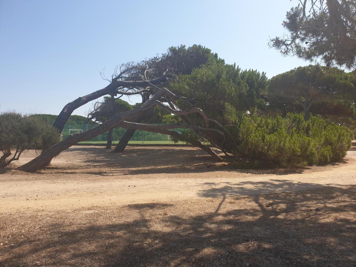 Village S'ena Arrubia