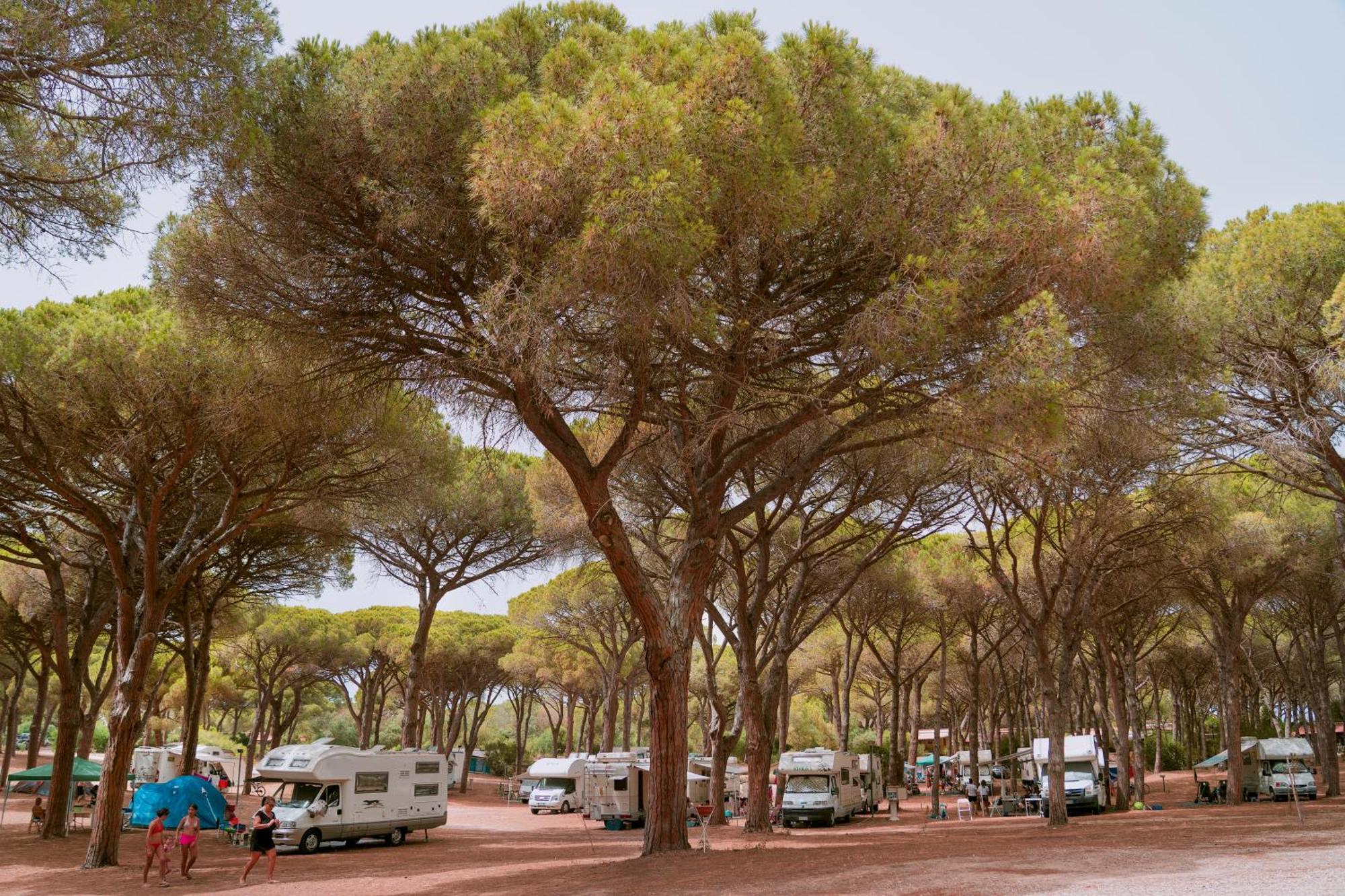 Village S'ena Arrubia